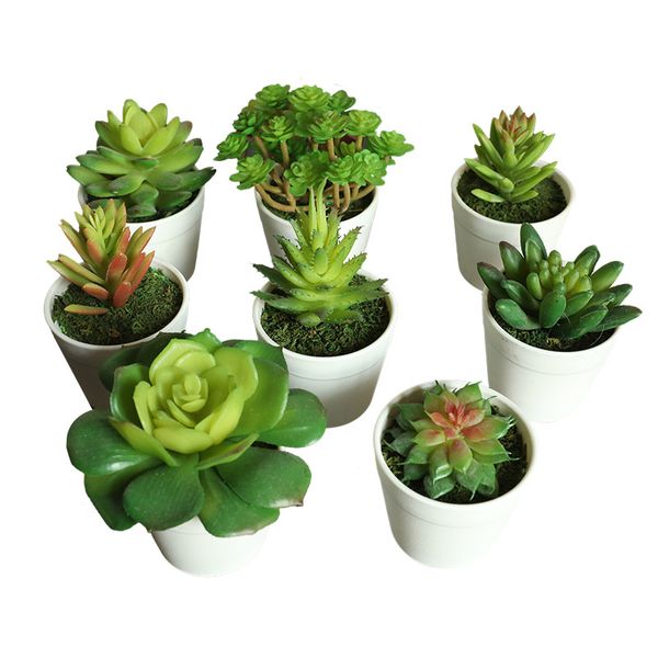 simulation succulent plants bonsai fleshy latex fake plants with plastic flower pot for home decor wedding garden decoration material
simulation succulent plants bonsai fleshy latex fake plants with plastic flower pot for home decor wedding garden decoration material