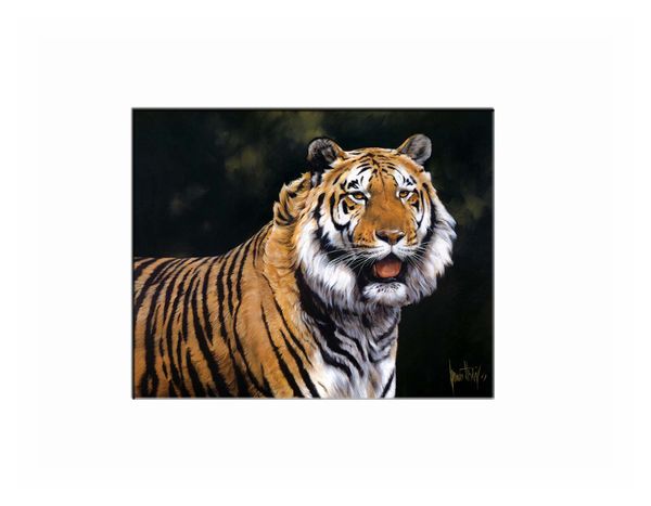 лучший подарок главная гостиная wall art decor животных тигр картина маслом фотографии напечатаны на холсте
лучший подарок главная гостиная wall art decor животных тигр картина маслом фотографии напечатаны на холсте