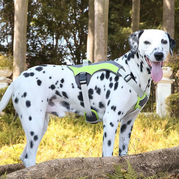 pet dog walk out harness vest adjustable breathable mesh reflective chest collar for small medium large dogs
pet dog walk out harness vest adjustable breathable mesh reflective chest collar for small medium large dogs