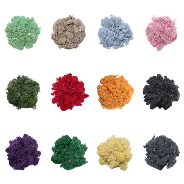 1pack 20g/50g colorful natural norwegian reindeer moss preserved dried craft flower stamen decoration wedding ornament
1pack 20g/50g colorful natural norwegian reindeer moss preserved dried craft flower stamen decoration wedding ornament