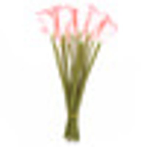 20pcs/set artificial pu calla lily plastic flower bouquet home office party wedding decoration valentine's day
20pcs/set artificial pu calla lily plastic flower bouquet home office party wedding decoration valentine's day