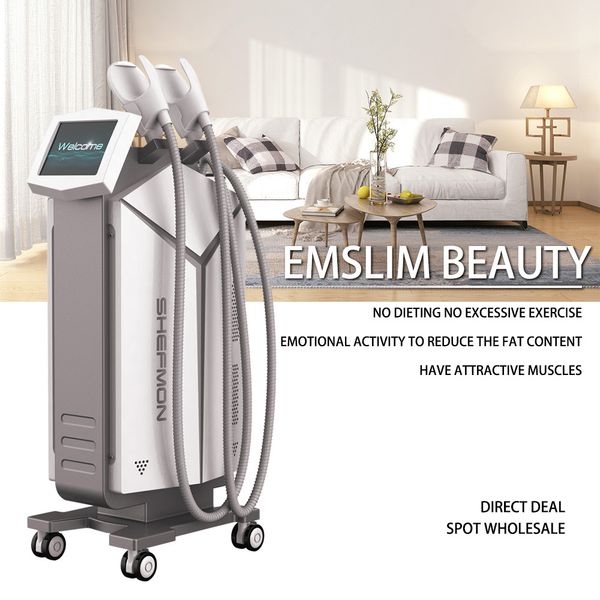 2020 hifem electromagnetic muscle stimulation weight loss emsculpt beauty slimming machine body shaping emsculpt machine ce
2020 hifem electromagnetic muscle stimulation weight loss emsculpt beauty slimming machine body shaping emsculpt machine ce