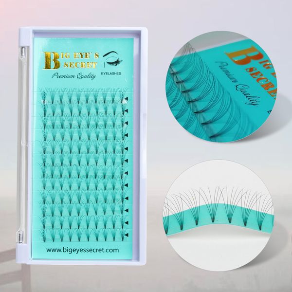 big eye's secret premade russian volume fans false lashes faux mink lashes natural makeup 0.07mm c/d curl eyelash extensions
big eye's secret premade russian volume fans false lashes faux mink lashes natural makeup 0.07mm c/d curl eyelash extensions