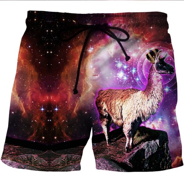 love spark elastic plus size gym shorts for mens animal 3d print red bodybuilding boys summer beach sports shorts, Black;blue
love spark elastic plus size gym shorts for mens animal 3d print red bodybuilding boys summer beach sports shorts, Black;blue