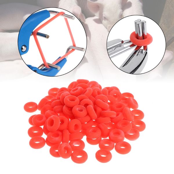 100 pcs castration rubber ring pliers accessories elastic reusable tail cutting pet farm products supplies
100 pcs castration rubber ring pliers accessories elastic reusable tail cutting pet farm products supplies