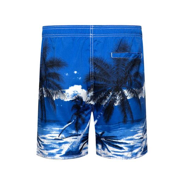men's shorts beachwear cool board print shorts quick watersport beach lining drawstring, White;black
men's shorts beachwear cool board print shorts quick watersport beach lining drawstring, White;black