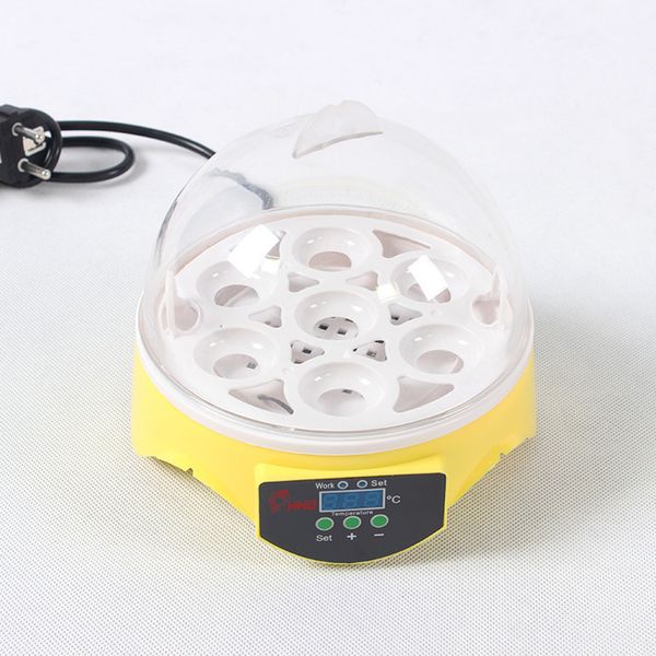 chicken duck goose ostrich parrot hatching egg machine small household automatic intelligent mini temperature control
chicken duck goose ostrich parrot hatching egg machine small household automatic intelligent mini temperature control