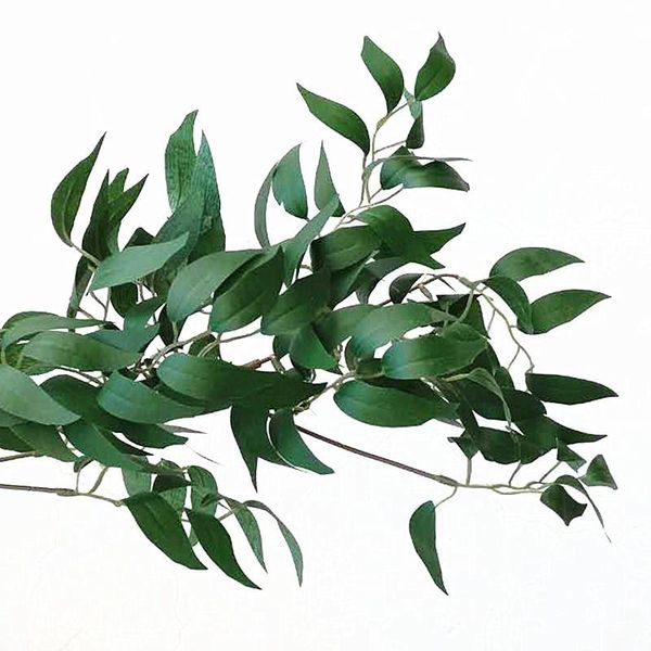 simulation flower vine wedding celebration willow leaf green color sliver wall hanging romantic rattan party decoration new arriaval 16hze1
simulation flower vine wedding celebration willow leaf green color sliver wall hanging romantic rattan party decoration new arriaval 16hze1