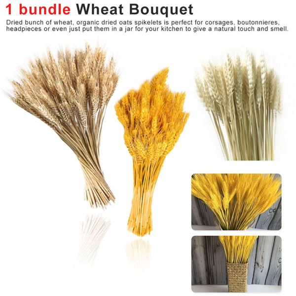 50 pcs artificial wheat autumn wheat diy craft scrapbook home decor flower bouquet wreath fake flowers wedding party decoration
50 pcs artificial wheat autumn wheat diy craft scrapbook home decor flower bouquet wreath fake flowers wedding party decoration