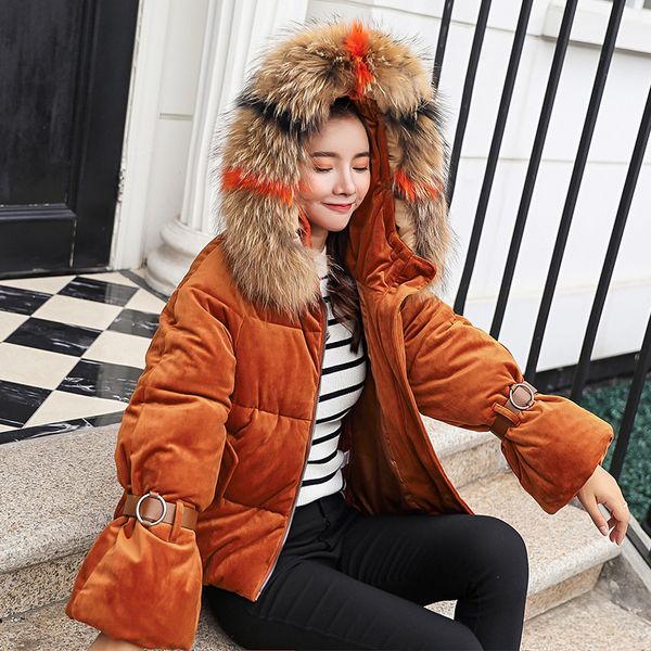 fur hood coat women winter parkas warm velvet outwear short fur hooded down jacket 2018 female korean winter clothes down parka, Black
fur hood coat women winter parkas warm velvet outwear short fur hooded down jacket 2018 female korean winter clothes down parka, Black