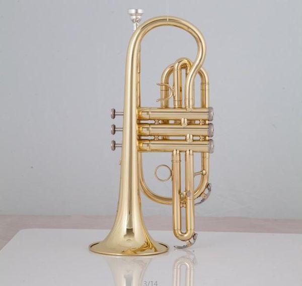 bach golden bb tune cornet trumpet brass plated international instrument with case and mouthpiece musical instruments
bach golden bb tune cornet trumpet brass plated international instrument with case and mouthpiece musical instruments