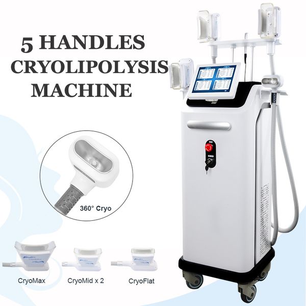 fda approved fat e machine cryolipolysis ing fats liposuction slimming 5 handles working criolipolisis weight loss equipment
fda approved fat e machine cryolipolysis ing fats liposuction slimming 5 handles working criolipolisis weight loss equipment
