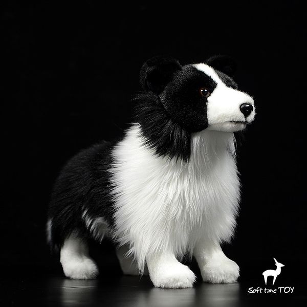 stuffed animal toy cute border collie dolls real life plush stand dogs soft present toys shops
stuffed animal toy cute border collie dolls real life plush stand dogs soft present toys shops