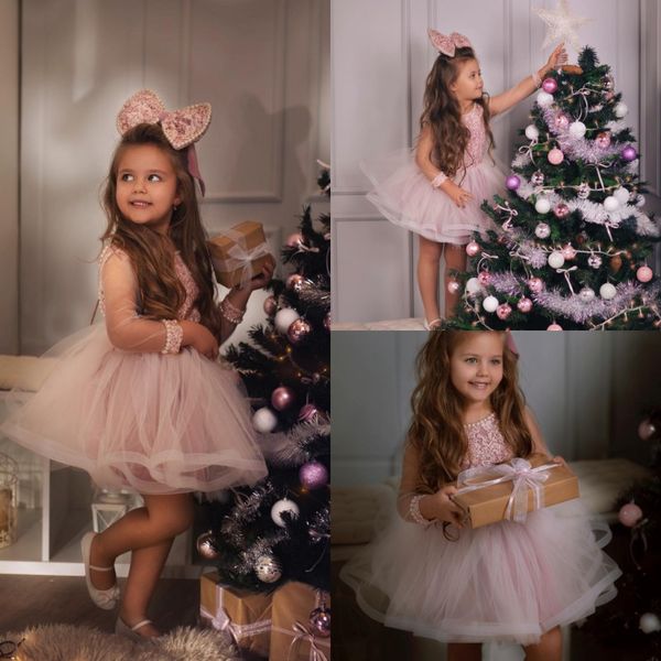 2019 cute light pink little flower girls dresses tulle sheer jewel neck kids birthday princess dresses short knee length tiered gowns, White;blue
2019 cute light pink little flower girls dresses tulle sheer jewel neck kids birthday princess dresses short knee length tiered gowns, White;blue