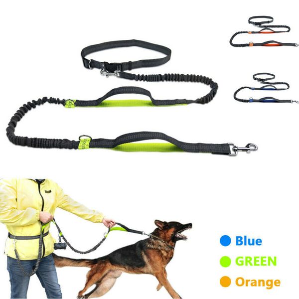 reflective elastic hands dog lead training running walk belt jogging waist outdoor pet puppy dog leash
reflective elastic hands dog lead training running walk belt jogging waist outdoor pet puppy dog leash