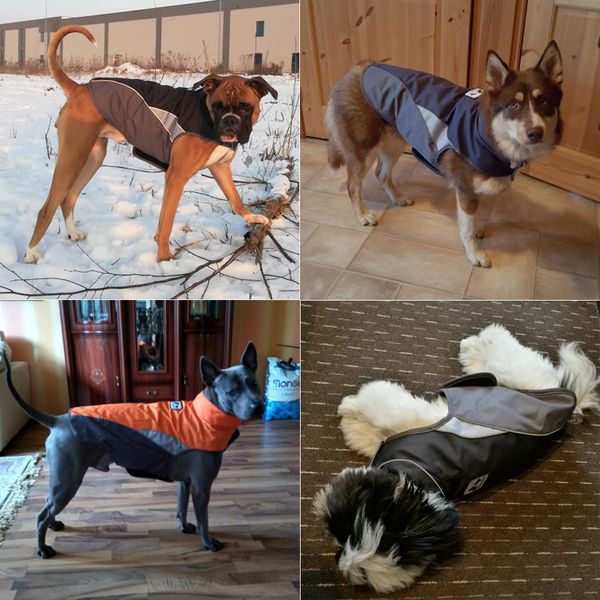 autumn pet dog clothes for dogs winter thick waterproof jacket night reflector safe vest for small medium lager all dogs xs-3xl
autumn pet dog clothes for dogs winter thick waterproof jacket night reflector safe vest for small medium lager all dogs xs-3xl