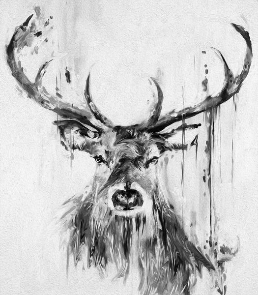 canvas art painting stag deer moose graffiti street grey black home decor handcrafts /hd print oil painting on canvas wall art 200217
canvas art painting stag deer moose graffiti street grey black home decor handcrafts /hd print oil painting on canvas wall art 200217