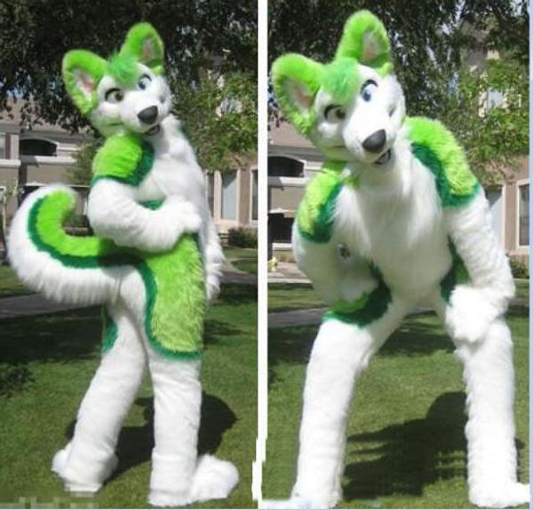 2019 factory sale new green husky fursuit mascot costume plush size halloween xmas party costumes, Red;yellow
2019 factory sale new green husky fursuit mascot costume plush size halloween xmas party costumes, Red;yellow