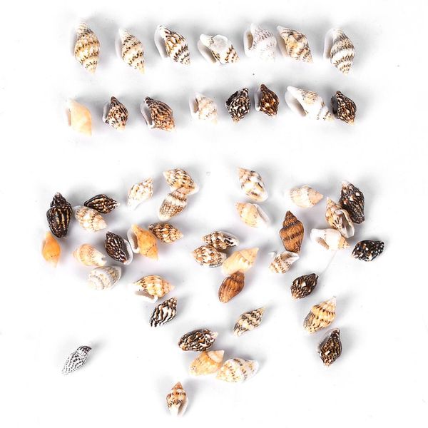 50 sea shells tiny seashells ocean beach spiral seashells natural beach sea shell beads shells craft charms
50 sea shells tiny seashells ocean beach spiral seashells natural beach sea shell beads shells craft charms