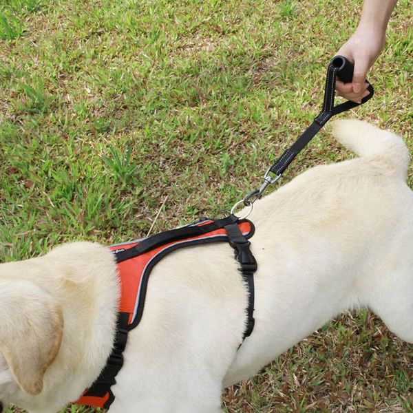 outdoor dogs harnesses short dog leash with comfortable padded handle reflective leashes for pupply training walking supplies
outdoor dogs harnesses short dog leash with comfortable padded handle reflective leashes for pupply training walking supplies