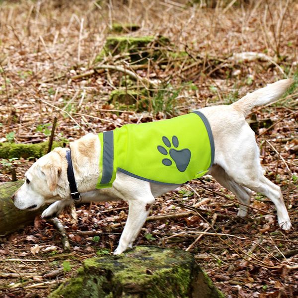 waterproof dog clothes for dog reflective vest clothes pet coat safety reflective design dog clothing for outdoor hiking walking fashion
waterproof dog clothes for dog reflective vest clothes pet coat safety reflective design dog clothing for outdoor hiking walking fashion