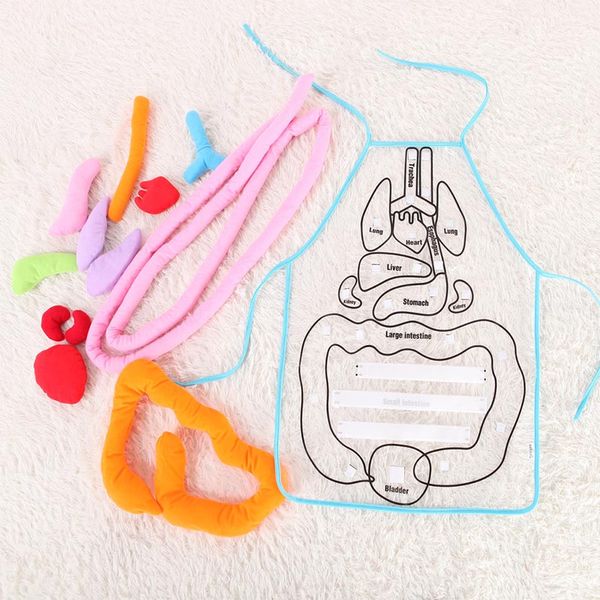 educational toys insights toy anatomy learn apron human body organs awareness preschool science home school teaching aids
educational toys insights toy anatomy learn apron human body organs awareness preschool science home school teaching aids