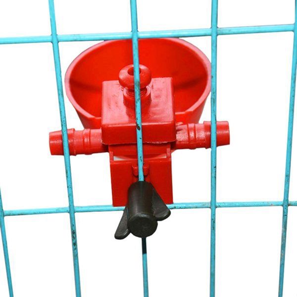 25pcs chicken перепела waterer животных кормушки автоматическая птица coop корма для птицы цыпленок fowl пьющий вода питьевая чашки птицы su
25pcs chicken перепела waterer животных кормушки автоматическая птица coop корма для птицы цыпленок fowl пьющий вода питьевая чашки птицы su