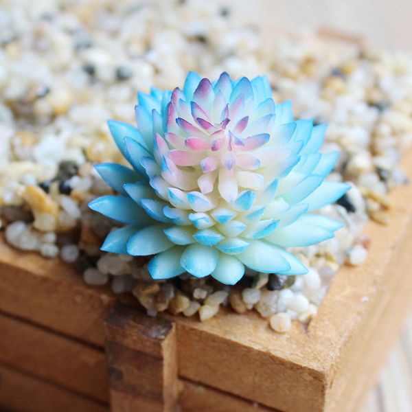 artificial succulent plants potted in ceramic pots home décor office resturant artificial plants fake succulent
artificial succulent plants potted in ceramic pots home décor office resturant artificial plants fake succulent