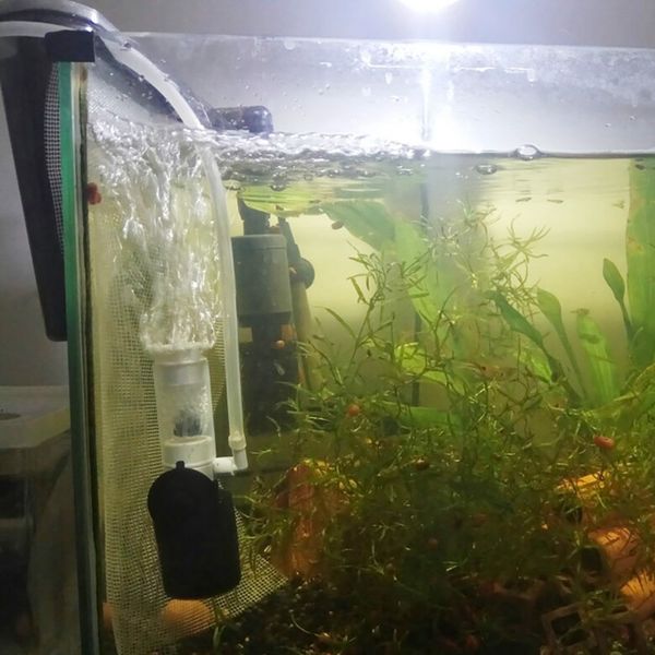 fish tank super mute small pneumatic filter accessories aquarium internal filter aquarium biochemical sponge corner filter other aquarium
fish tank super mute small pneumatic filter accessories aquarium internal filter aquarium biochemical sponge corner filter other aquarium