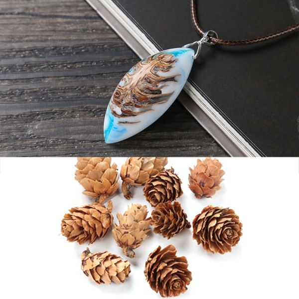50pcs/pack natural pine cone thanksgiving christmas holiday decorations resin filler jewelry art diy crafts creative ornaments
50pcs/pack natural pine cone thanksgiving christmas holiday decorations resin filler jewelry art diy crafts creative ornaments