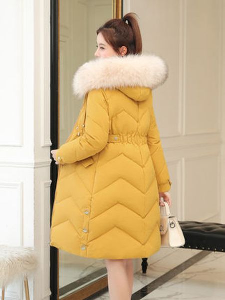 female 2019 new down cotton pad in the long section of the korean version of self-cultivation fashion wild winter jacket thi, Black
female 2019 new down cotton pad in the long section of the korean version of self-cultivation fashion wild winter jacket thi, Black