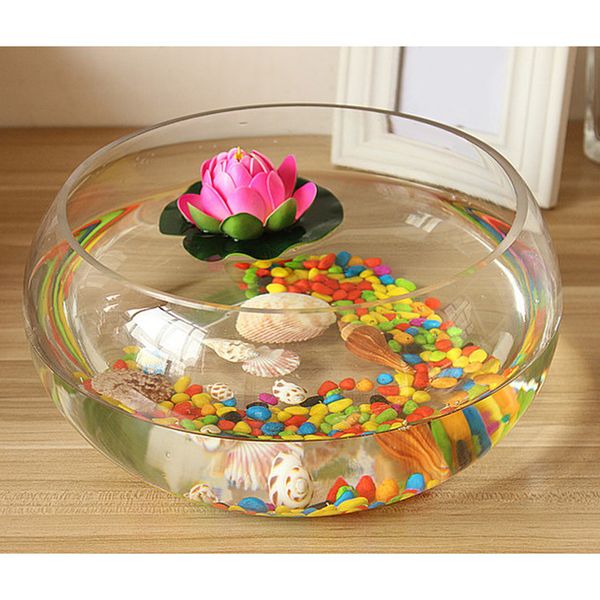 shrimp fish mini tank glass aquarium small fish micro tank deskdecor