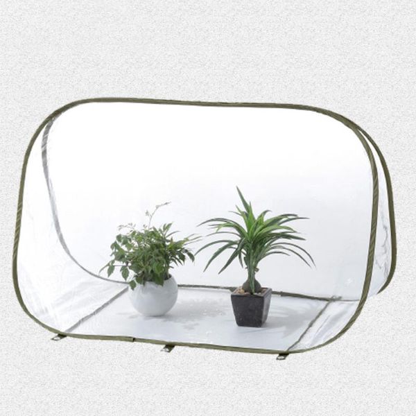 new winter garden flower теплой обложка теплица дерево кустарник защита сумка складной frost yard защита плафон коробка передач
new winter garden flower теплой обложка теплица дерево кустарник защита сумка складной frost yard защита плафон коробка передач
