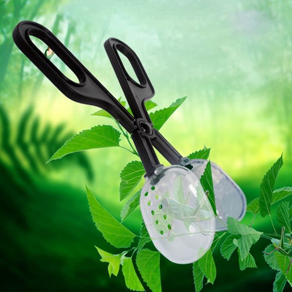 прочный портативный селекционные наблюдаемые инструмент главная easy clean laboratory поставка pet flexible насекомых клип рептилия поставки
прочный портативный селекционные наблюдаемые инструмент главная easy clean laboratory поставка pet flexible насекомых клип рептилия поставки