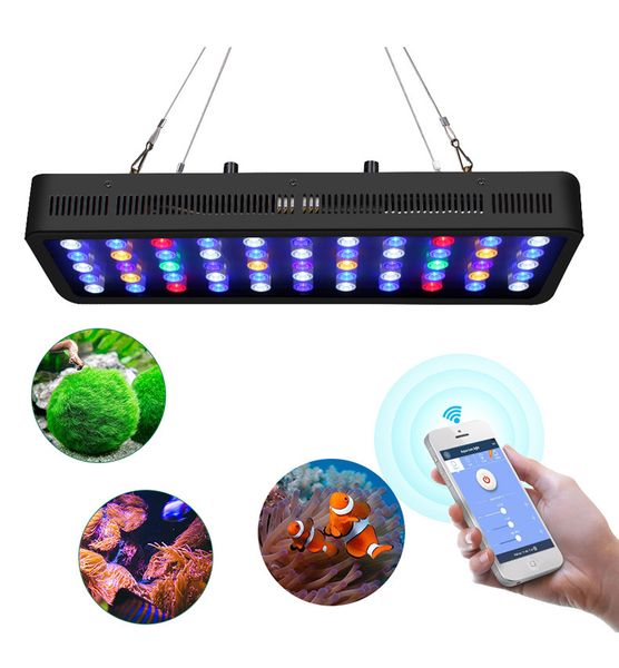 аквариум завод светодиодного завод light 165w ac100-240v подходит для освещения растений для аквариума кораллового фермы
аквариум завод светодиодного завод light 165w ac100-240v подходит для освещения растений для аквариума кораллового фермы