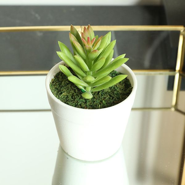 mini artificial succulents plants fake succulent bonsai plastic flower decor
mini artificial succulents plants fake succulent bonsai plastic flower decor