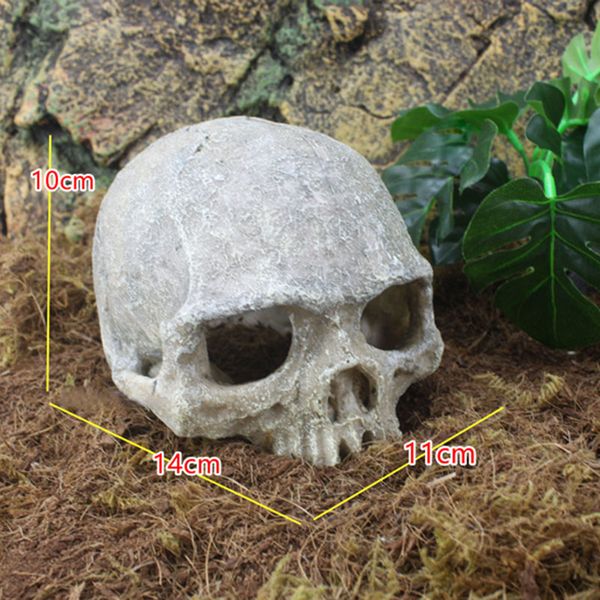 skull aquarium decoration terrarium reptile fish tank ornament simulation landscape store
skull aquarium decoration terrarium reptile fish tank ornament simulation landscape store