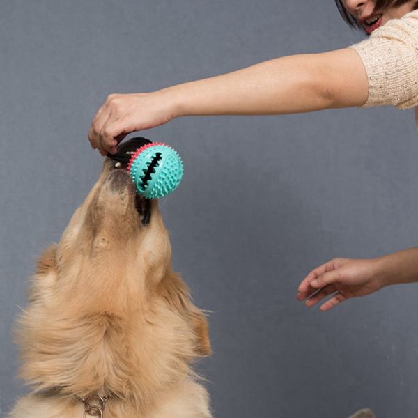 pet rubber ball dog chew toy with leak function interactive with bell pets puppy exercise squeaky toys
pet rubber ball dog chew toy with leak function interactive with bell pets puppy exercise squeaky toys