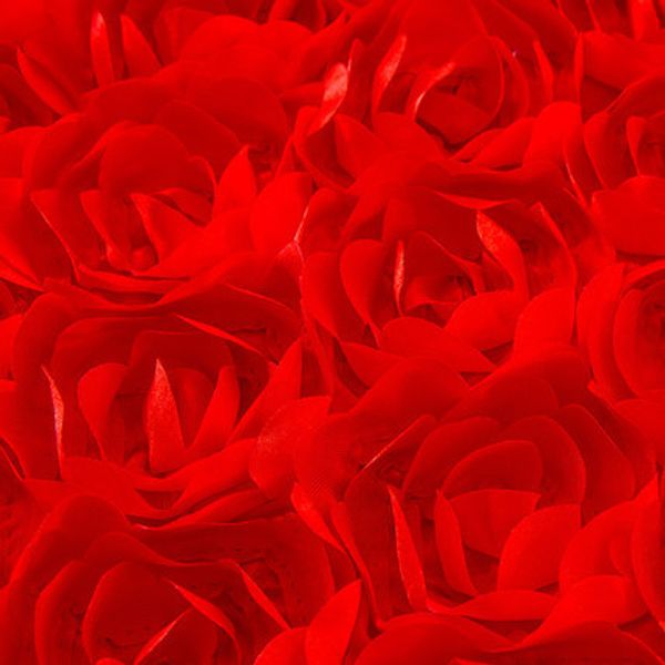 three-dimensional 3d rose flower wedding carpet cloth table cloth fabric cutout formal dress wedding dress fabric
three-dimensional 3d rose flower wedding carpet cloth table cloth fabric cutout formal dress wedding dress fabric