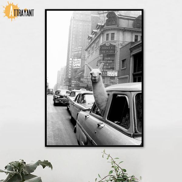 alpaca llama wall art canvas painting nordic posters and prints animal wall pictures for living room scandinavian home decor
alpaca llama wall art canvas painting nordic posters and prints animal wall pictures for living room scandinavian home decor