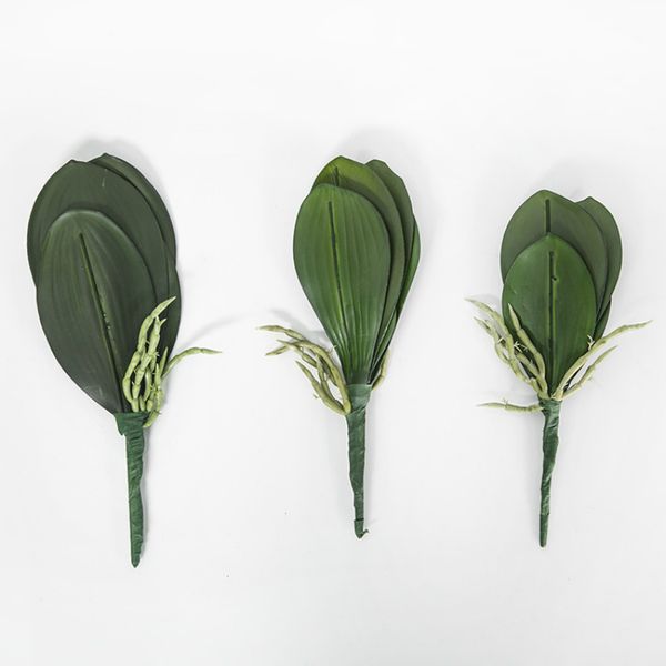 real touch pu artificial green butterfly orchid leaf plastic flower leaf home wedding party decoration diy decoration
real touch pu artificial green butterfly orchid leaf plastic flower leaf home wedding party decoration diy decoration