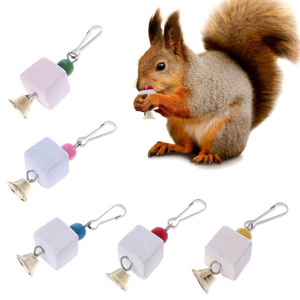 81 number ) permanent purple - totoro squirrel cube a molar tooth string parrot grinding mouth stone a molar tooth stone color random
81 number ) permanent purple - totoro squirrel cube a molar tooth string parrot grinding mouth stone a molar tooth stone color random