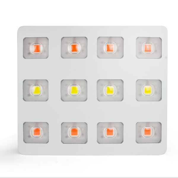 1200w cob led grow light full spectrum led plant grow lamp panel for indoor plants all stage seedings veg bloom lighting
1200w cob led grow light full spectrum led plant grow lamp panel for indoor plants all stage seedings veg bloom lighting