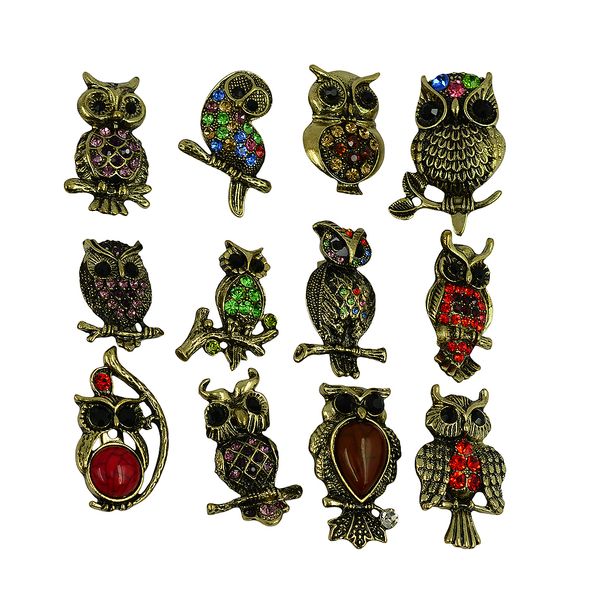 12pcs vintage bronze colorful rhinestone wedding bridal party owl brooch pin gift, Gray
12pcs vintage bronze colorful rhinestone wedding bridal party owl brooch pin gift, Gray