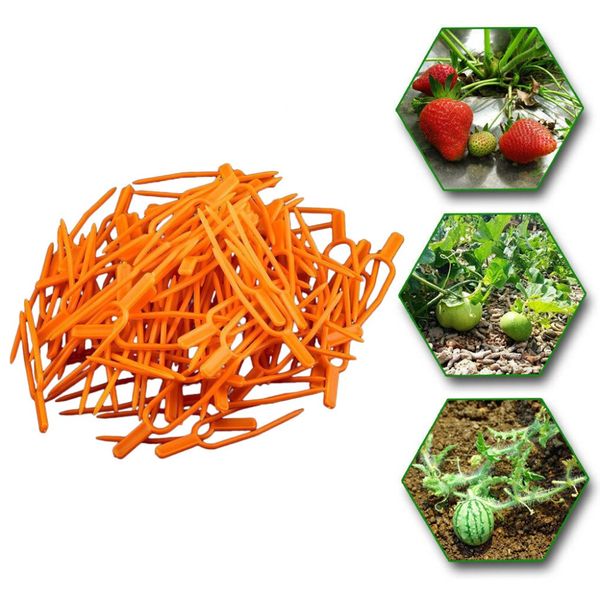 tomato veggie garden plant support clips for trellis twine greenhouse tool 50pcs garden supplies plant cages supports 2019 new
tomato veggie garden plant support clips for trellis twine greenhouse tool 50pcs garden supplies plant cages supports 2019 new