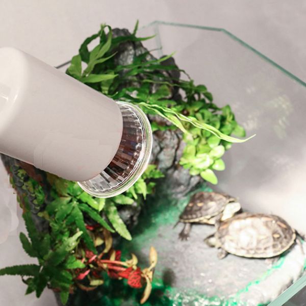 uva + uvb 3.0 pet reptile lamp uv auxiliary heat lamp amphibious lizard temperature controller led heating bulb 75w
uva + uvb 3.0 pet reptile lamp uv auxiliary heat lamp amphibious lizard temperature controller led heating bulb 75w