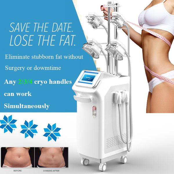 криотерапия cryolipolysis прохладно формирование жира замораживания липосакция машина с 360 градусов устройства крио ручка двойной подбородо
криотерапия cryolipolysis прохладно формирование жира замораживания липосакция машина с 360 градусов устройства крио ручка двойной подбородо