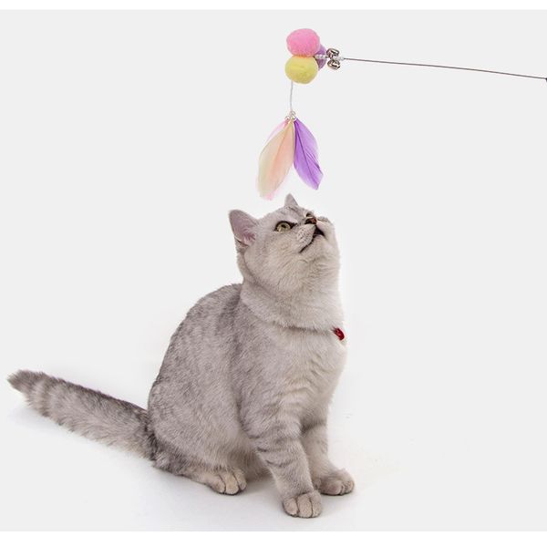 pet supplies funny cat stick colorful feather cat toy bell velvet ball feather playing candy color cat toy wholesale
pet supplies funny cat stick colorful feather cat toy bell velvet ball feather playing candy color cat toy wholesale