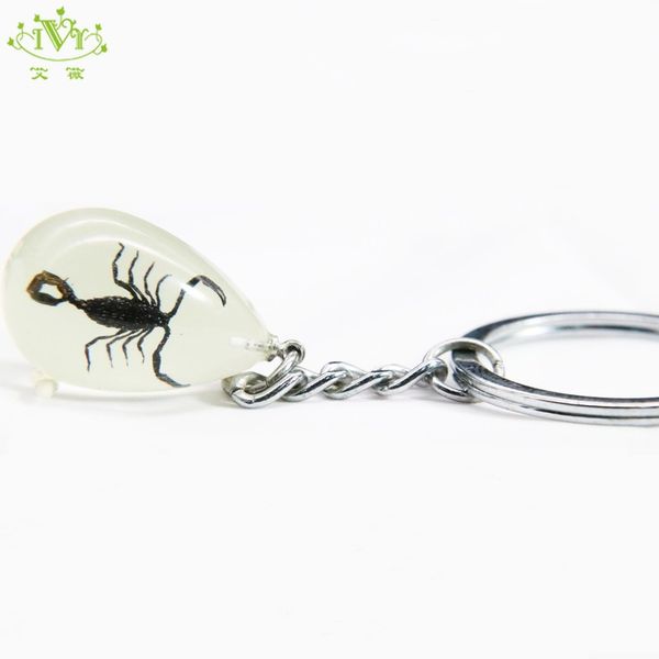 luminous scorpion trinket real insect key ring water drop glow in the dark key chains handbag charms for woman boyfriend gift, Silver
luminous scorpion trinket real insect key ring water drop glow in the dark key chains handbag charms for woman boyfriend gift, Silver