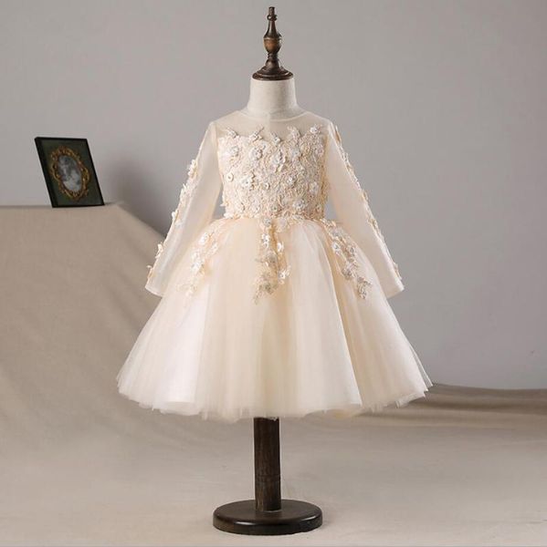 champagne floral tulle baby girl dresses kids girl wedding pageant party long sleeve newborn evening first communion costume, Red;yellow
champagne floral tulle baby girl dresses kids girl wedding pageant party long sleeve newborn evening first communion costume, Red;yellow